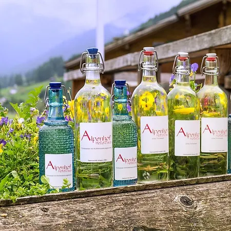 Alpenhof 酒店 3*