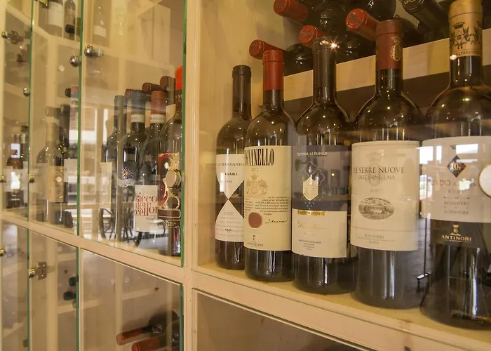 酒店 Alpenhof 达沃斯